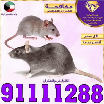 مكافحة حشرات - الماسة 📞 91111288 - شركة مكافحة حشرات - مكافحة حشرات وقوارض - مكافحة بق - رش صراصير - مكافحة نمل - شركة حشرات - مكافحة فئران