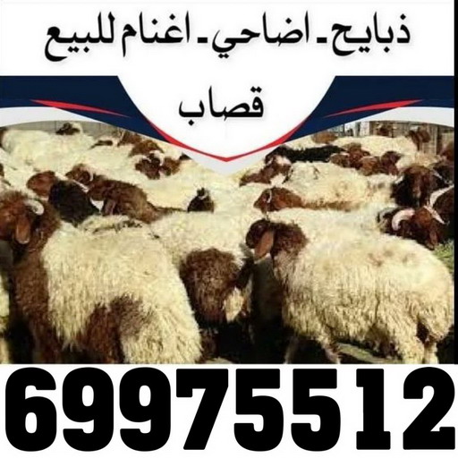 المنيوم – فني المنيوم – المنيوم الكويت – باكستاني احمد 66814293 – شتر - فني شتر - فني المنيوم باكستاني – معلم المنيوم – تركيب المنيوم – تصليح المنيوم – ابواب المنيوم – شباك المنيوم – مطابخ المنيوم 10 2 المنيوم – فني المنيوم – المنيوم الكويت – باكستاني احمد 66814293 – شتر - فني شتر - فني المنيوم باكستاني – معلم المنيوم – تركيب المنيوم – تصليح المنيوم – ابواب المنيوم – شباك المنيوم – مطابخ المنيوم